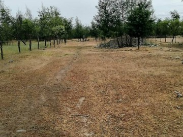 Venta / Parcela / San Carlos