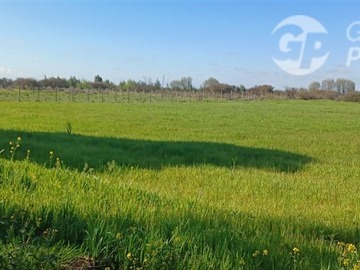 Venta / Parcela / San Carlos
