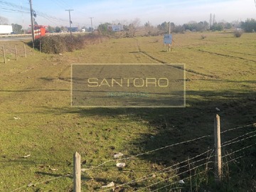 Imagen 6