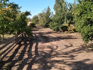 Venta / Parcela / San Carlos