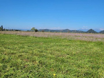 Venta / Parcela / San Clemente