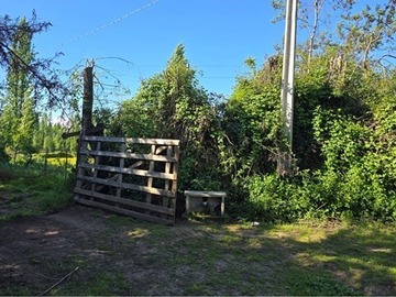 Venta / Parcela / San Clemente