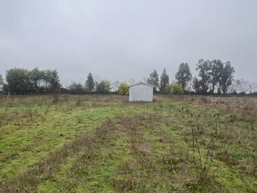 Imagen 9