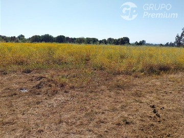 Venta / Parcela / San Clemente