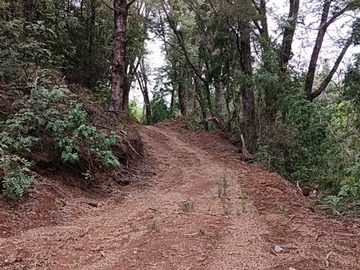 Imagen 8
