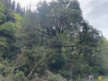 Imagen 11