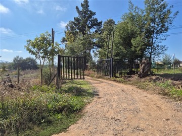 Venta / Parcela / San Clemente