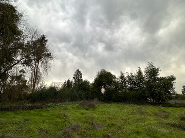 patio posterior