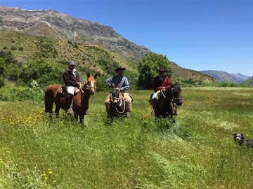 Venta / Parcela / San Clemente