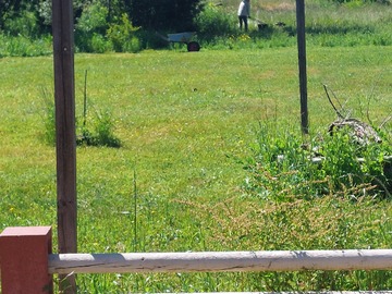 Venta / Parcela / San Clemente