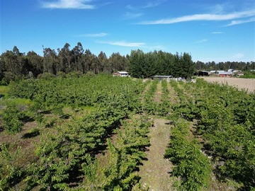 Venta / Parcela / San Clemente