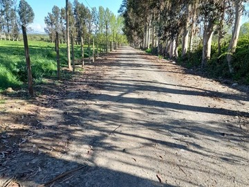 Venta / Parcela / San Clemente