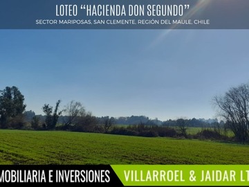 Imagen 6