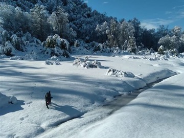 Imagen 13