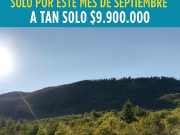 Venta / Parcela / San Clemente