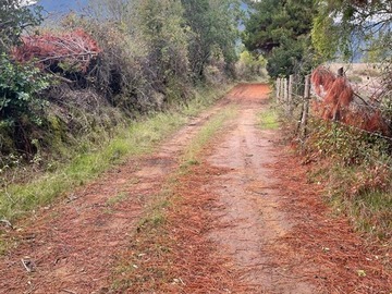 Imagen 7