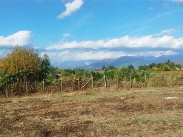 Imagen 13
