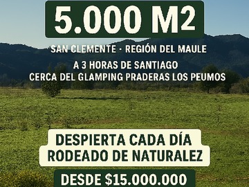 Venta / Parcela / San Clemente