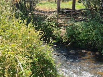Venta / Parcela / San Clemente