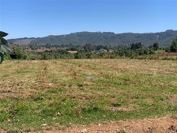 Venta / Parcela / San Clemente