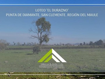 Venta / Parcela / San Clemente