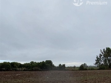 Venta / Parcela / San Clemente