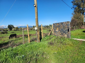 Imagen 5