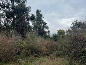 Imagen 6