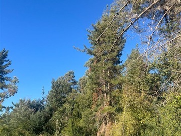 Venta / Parcela / San Clemente