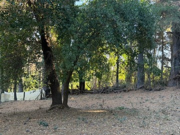 Venta / Parcela / San Clemente