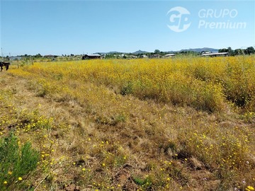 Venta / Parcela / San Clemente