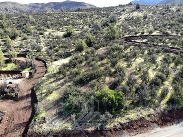 Imagen 5