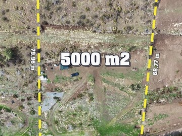 Venta / Parcela / San Esteban