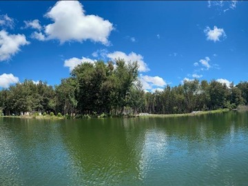 Venta / Parcela / San Fabián