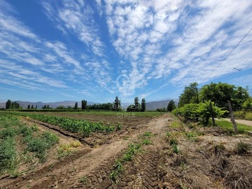 Venta / Parcela / San Felipe