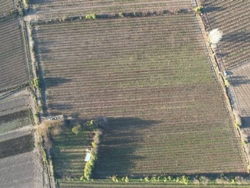 Venta / Parcela / San Felipe