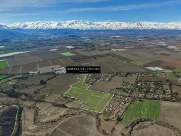 Venta / Parcela / San Felipe