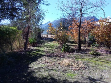 Imagen 11