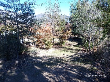 Imagen 8