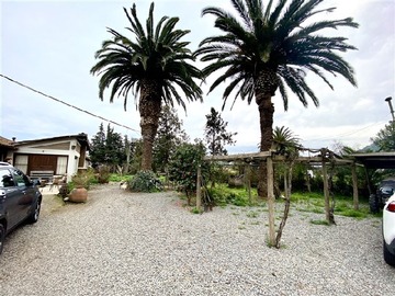 Imagen 20