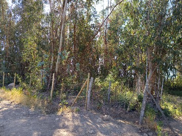 Venta / Parcela / San Fernando