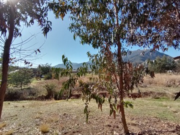 Imagen 18