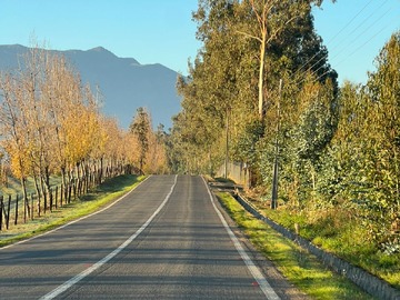 Imagen 10
