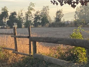 Imagen 9