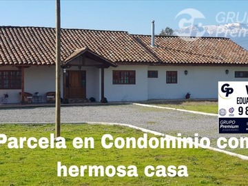 Imagen 0