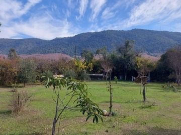 Imagen 8