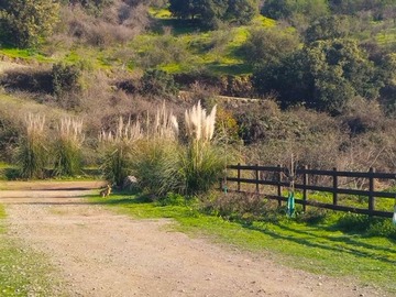 Venta / Parcela / San Fernando