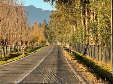 Imagen 8