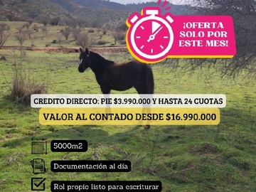 Imagen 9