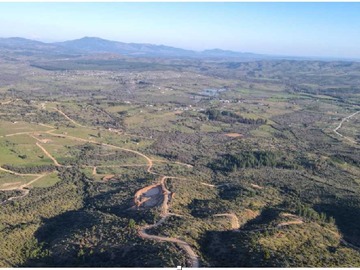 Imagen 7